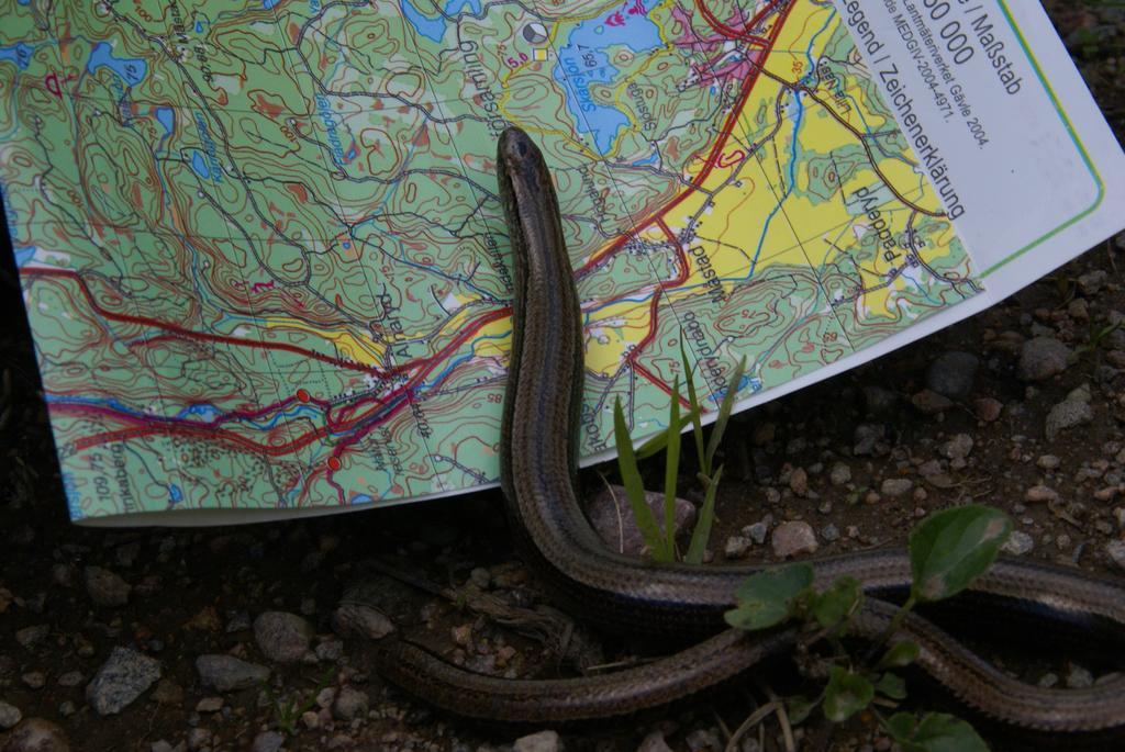Roeksvamp 3 Villa Vastra Stensjo Kültér fotó